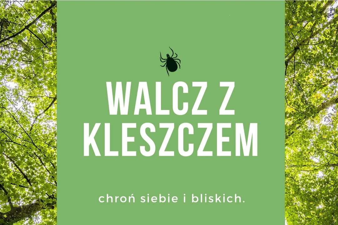 Powiat Kłodzki. Darmowe szczepienia na kleszczowe zapalenie mózgu - Zdjęcie główne