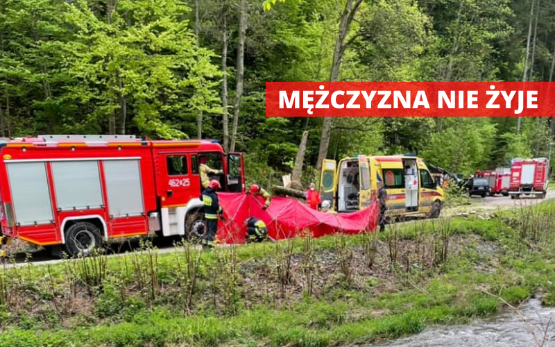 Międzygórze: Tragiczna śmierć 28-latka. Przygniotło go drzewo - Zdjęcie główne