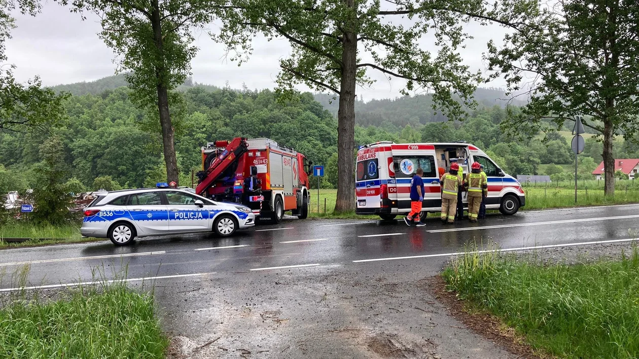 Kobieta kierująca Mitshubishi uderzyła w drzewo w Podzamku - Zdjęcie główne