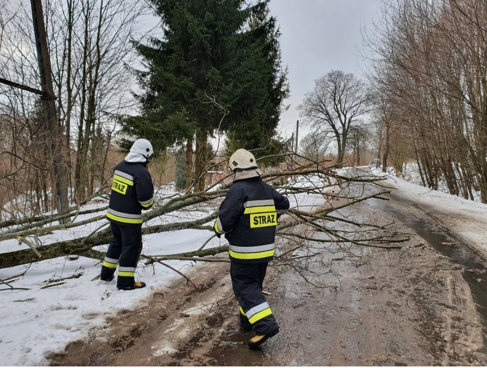 Także w Jugowie drzewo spadło na drogę.