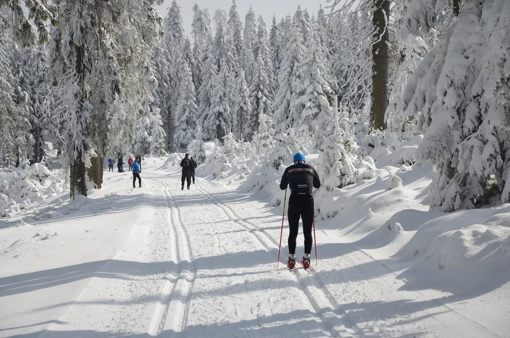 Gmina Stronie Śl. Ruszyły przygotowania do sezonu narciarstwa biegowego - Zdjęcie główne