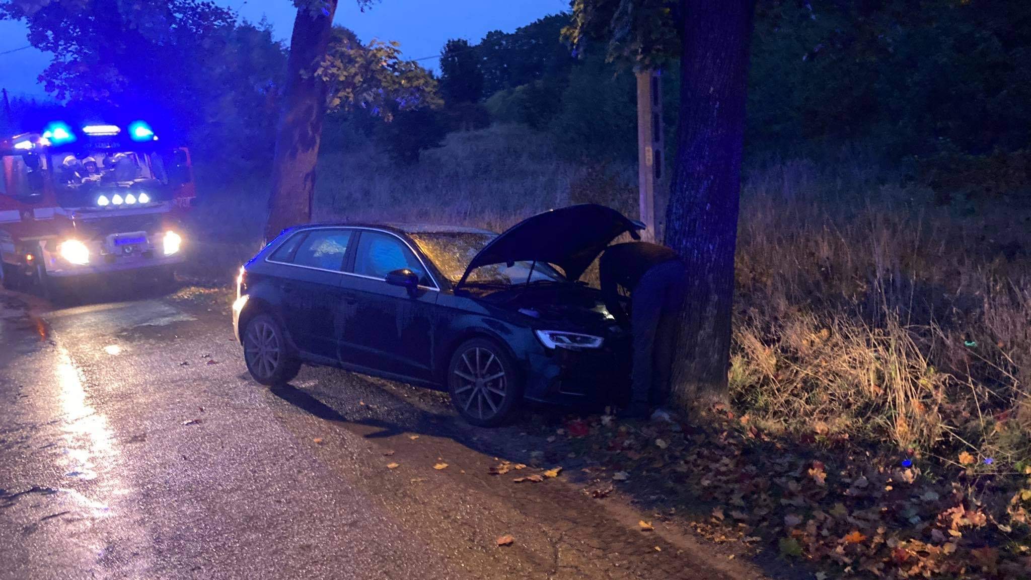 Szalejów Dolny: Audi uderzyło w drzewo - przesuń w prawo i zobacz zdjęcia