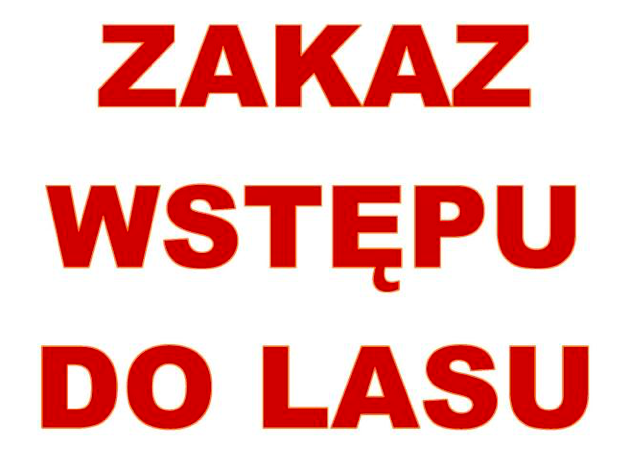 Zakaz wstępu do lasu - Zdjęcie główne