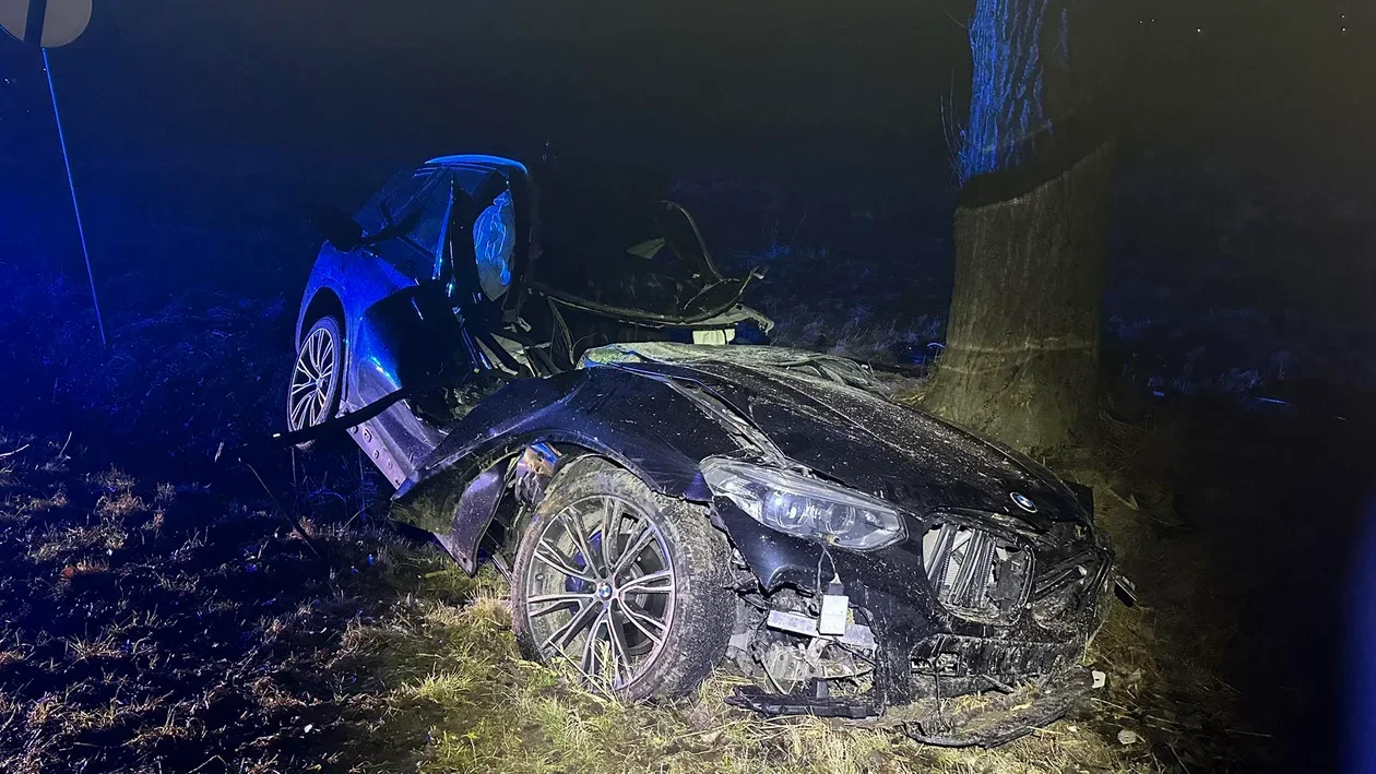 Kierowca BMW, którzy uderzył w drzewo, jechał na podwójnym gazie - Zdjęcie główne