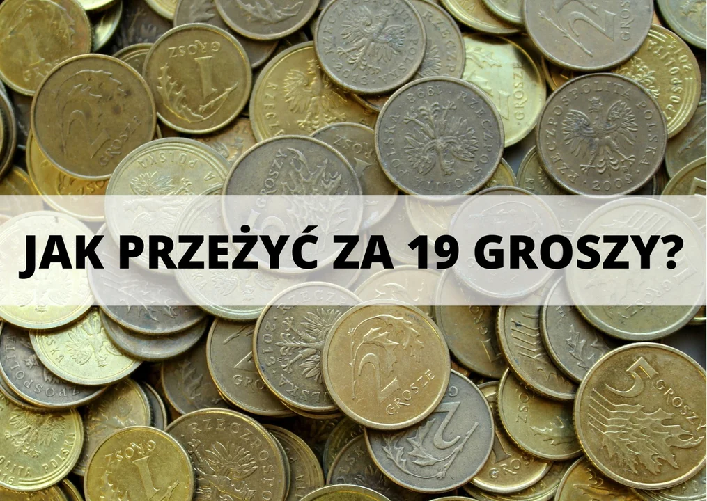 Najniższa emerytura wynosi 19 groszy - Zdjęcie główne