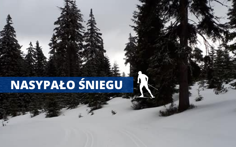 Stronie Śląskie: Idealne warunki do narciarstwa biegowego w Bielicach - Zdjęcie główne