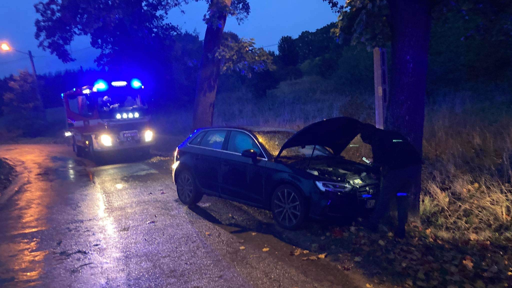Szalejów Dolny: Audi uderzyło w drzewo - przesuń w prawo i zobacz zdjęcia