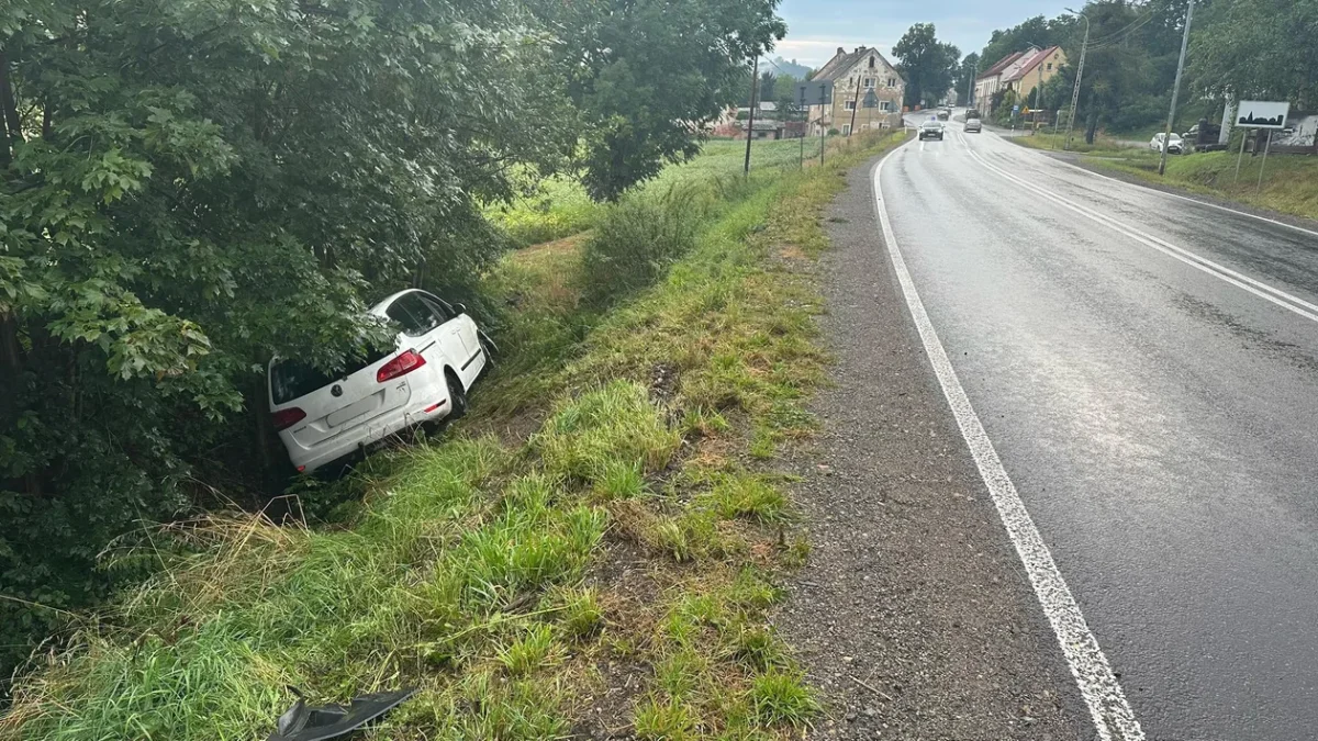 Bierkowice. Uderzył w bok BMW, a później wylądował w rowie - Zdjęcie główne