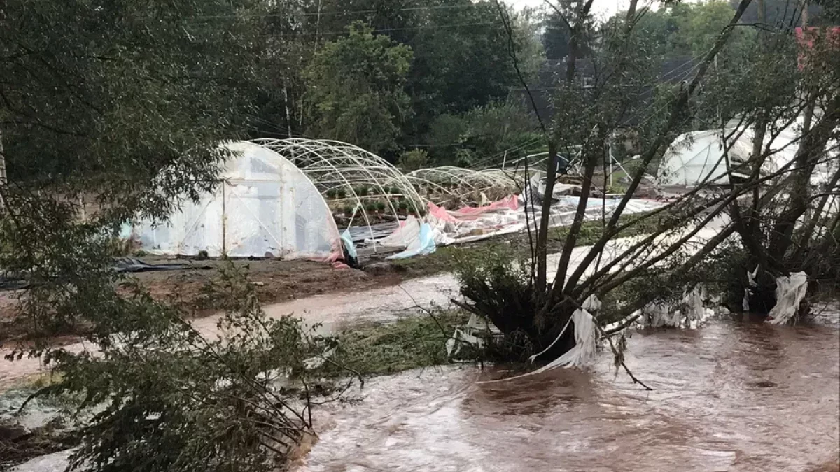 Wsparcie do 300 tys. zł dla rolników poszkodowanych w powodzi - Zdjęcie główne