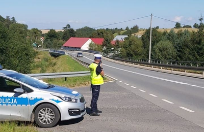 Nic nie robi sobie z zakazów - Zdjęcie główne