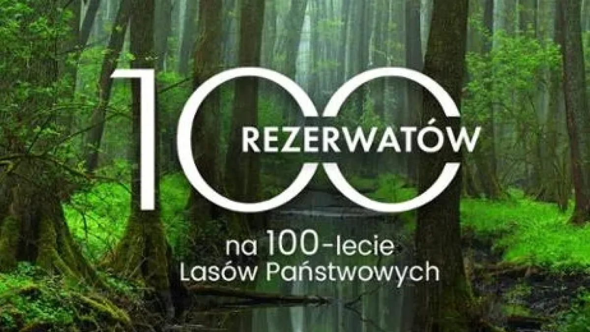 100 rezerwatów na 100-lecie Lasów Państwowych. W powiecie kłodzkim mają powstać dwa - Zdjęcie główne