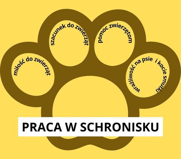 Fundacja Pod Psią Gwiazdą szuka pracownika - Zdjęcie główne