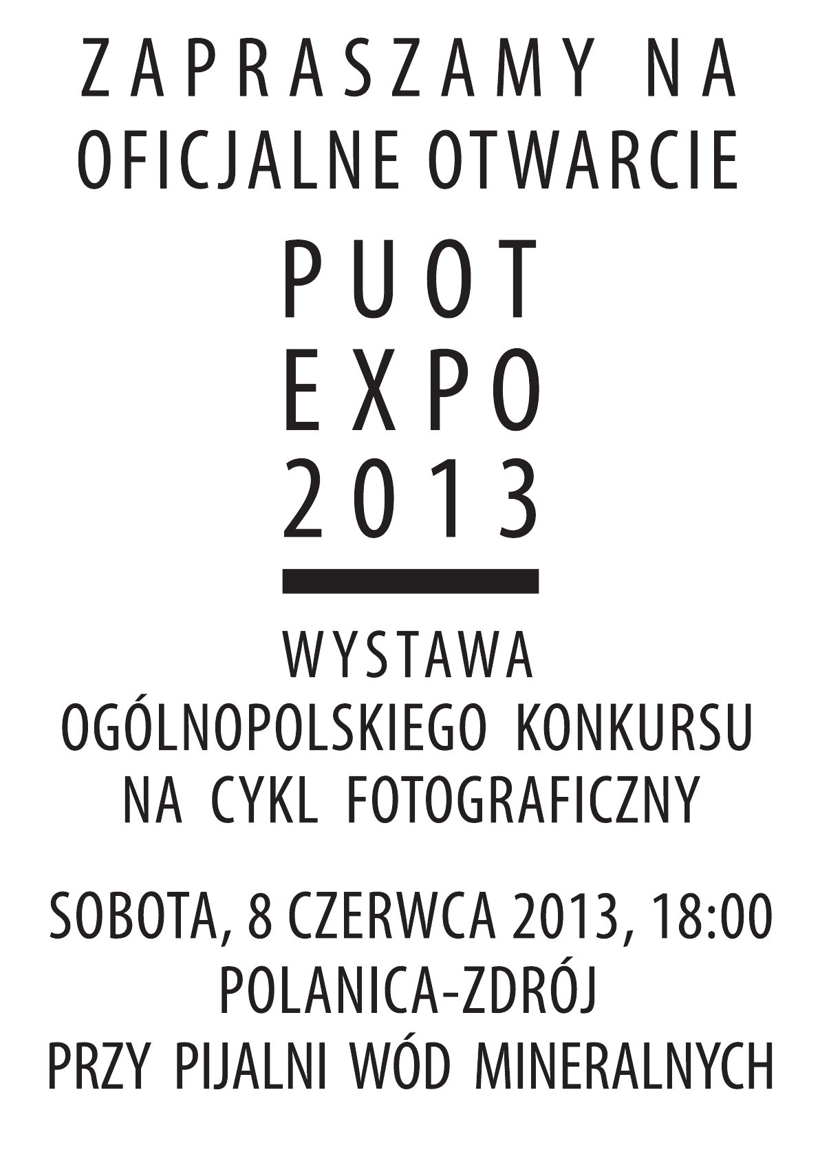 Puot expo 2013 - Zdjęcie główne