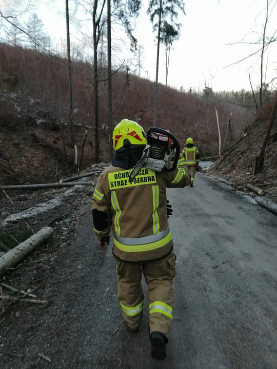 W sobotę, 19 lutego o godzinie 4.55 strażacy zostali wezwani do powalonych drzew na drodze do Jakubowic.