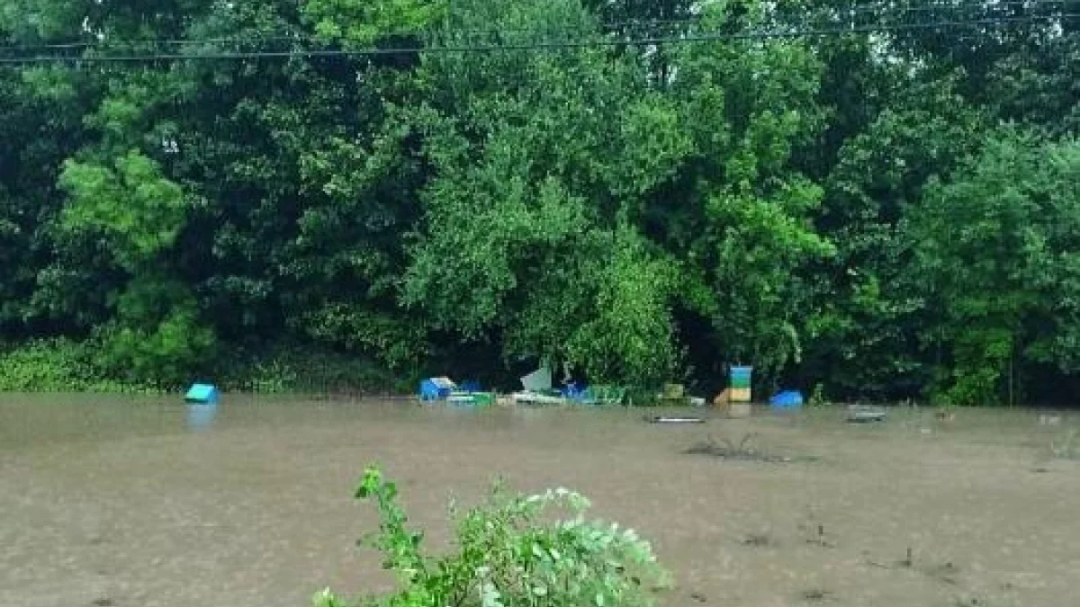 Ołdrzychowice Kłodzkie. Pszczelarze po powodzi - Zdjęcie główne