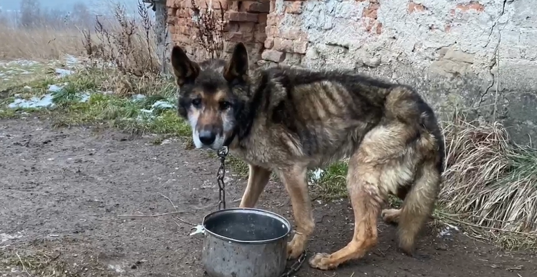  Sekcja zwłok, potem prokurator... - Zdjęcie główne