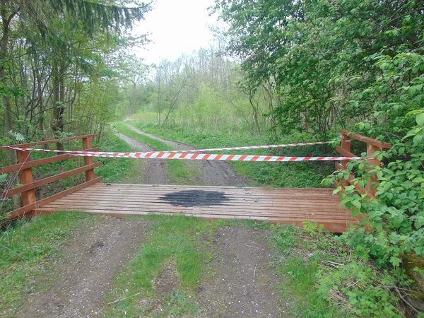 Gmina Międzylesie. Pijany 28-latek podpalił drewniany most - Zdjęcie główne
