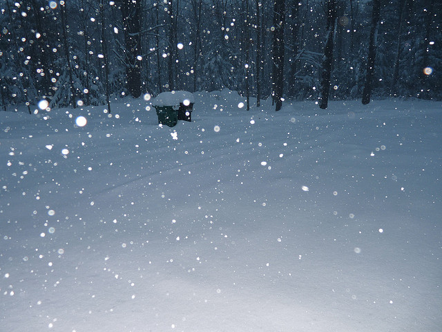 Śnieg w Zieleńcu - Zdjęcie główne