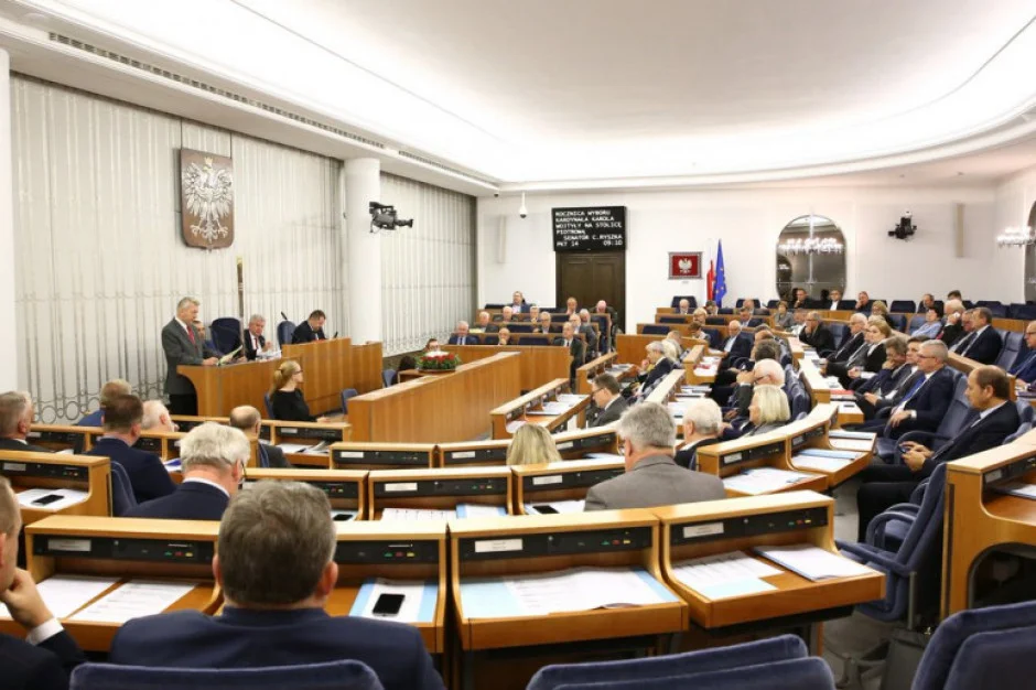 Wybory 2023. Bój o Senat - Zdjęcie główne