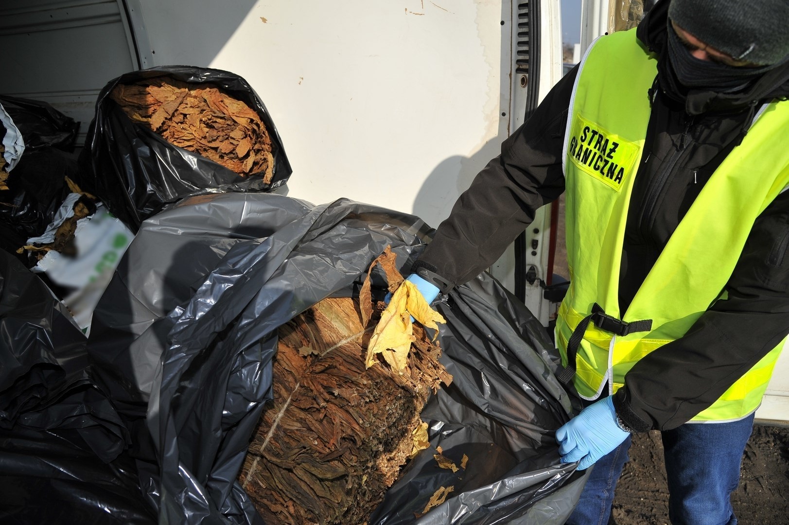 Kłodzko. 400 kg liści tytoniu w samochodzie - Zdjęcie główne