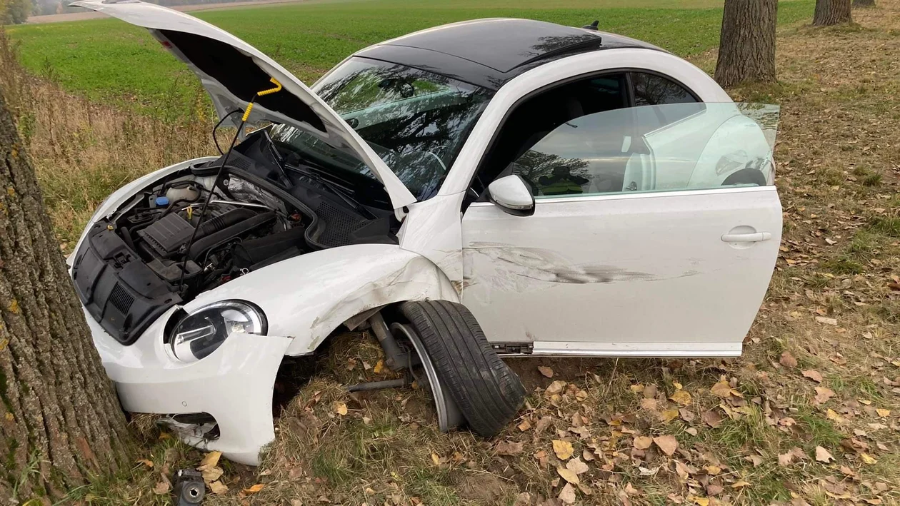 Kolizja na krajowej ósemce. Kierowca BMW wyprzedzał na trzeciego - Zdjęcie główne