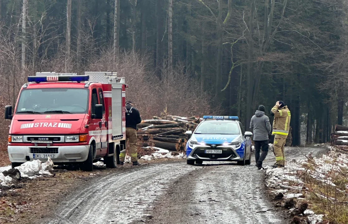 Ukradł auto i uciekał przed policją. Zatrzymany mężczyzna trafił do aresztu [film] - Zdjęcie główne