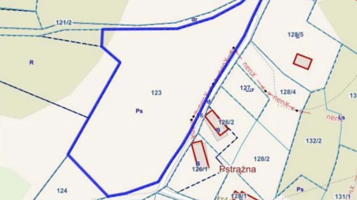 Kudowa-Zdrój. Działka w otulinie Gór Stołowych za ułamek ceny