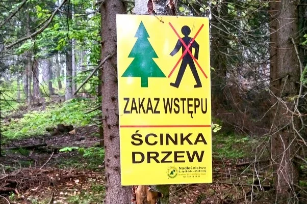 Gmina Lądek-Zdrój. Szlak czerwony pod Borówkową Górą czasowo zamknięty - Zdjęcie główne