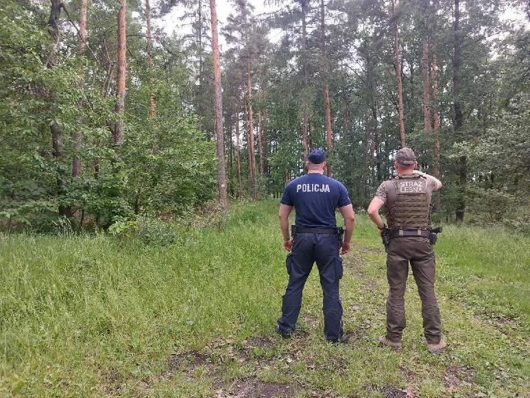 Powiat Kłodzki. Łączone patrole Straży Leśnej i Policji w lasach - Zdjęcie główne