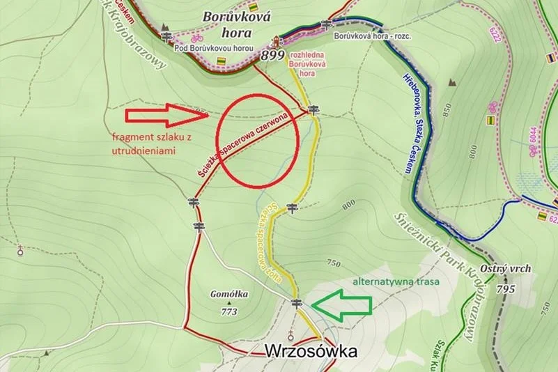 Nadleśnictwo Lądek-Zdrój. Utrudnienia na szlakach turystycznych - Zdjęcie główne