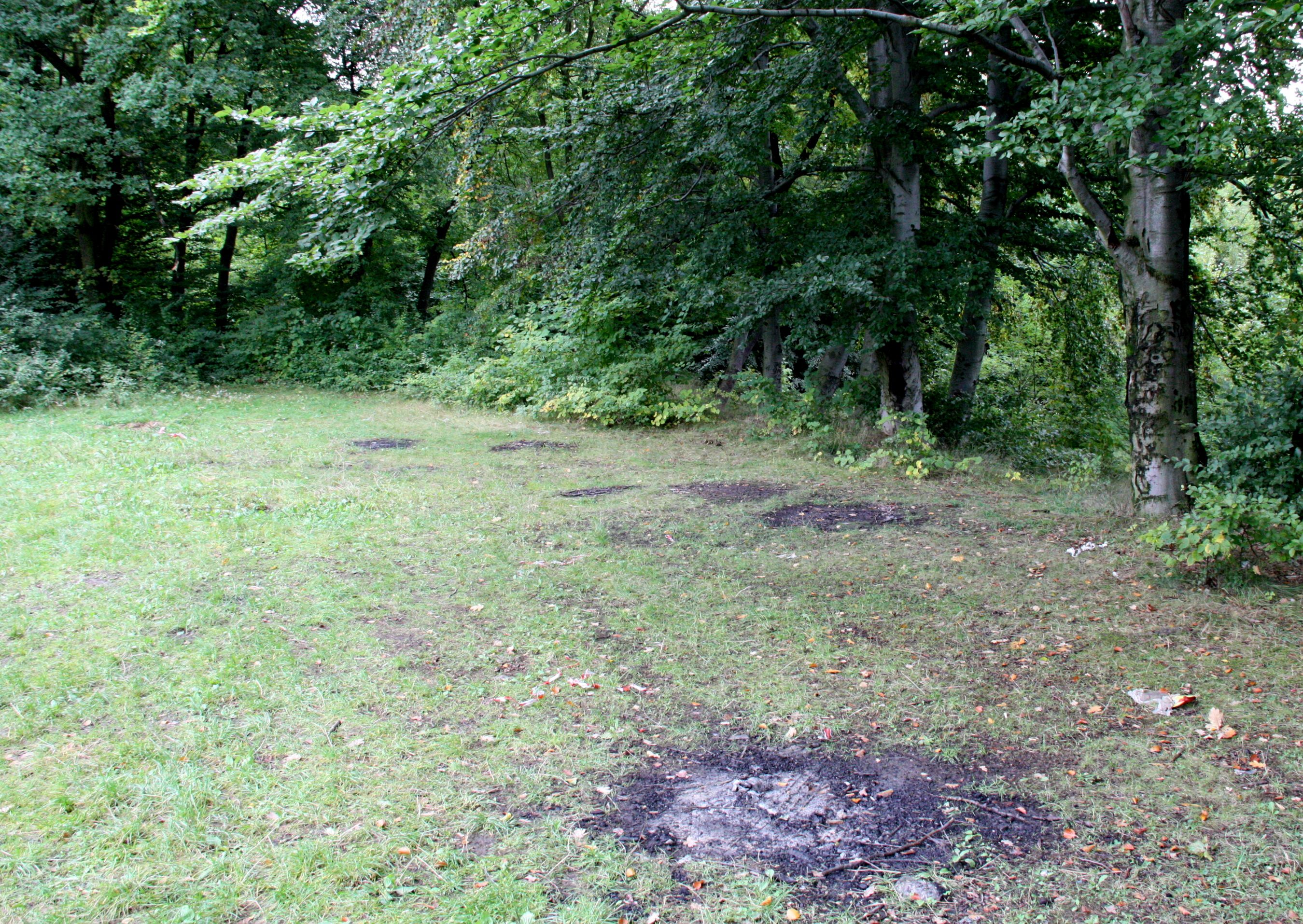 Mordercza Parkówka - Zdjęcie główne