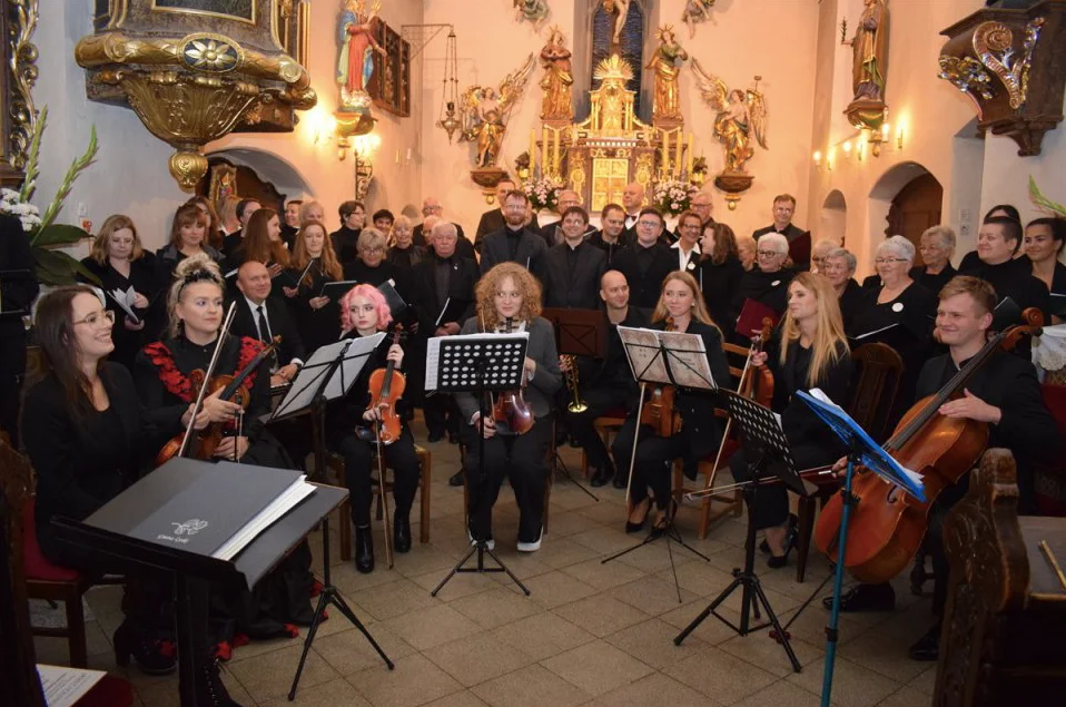 Festiwal Reimanna w Krosnowicach - Zdjęcie główne