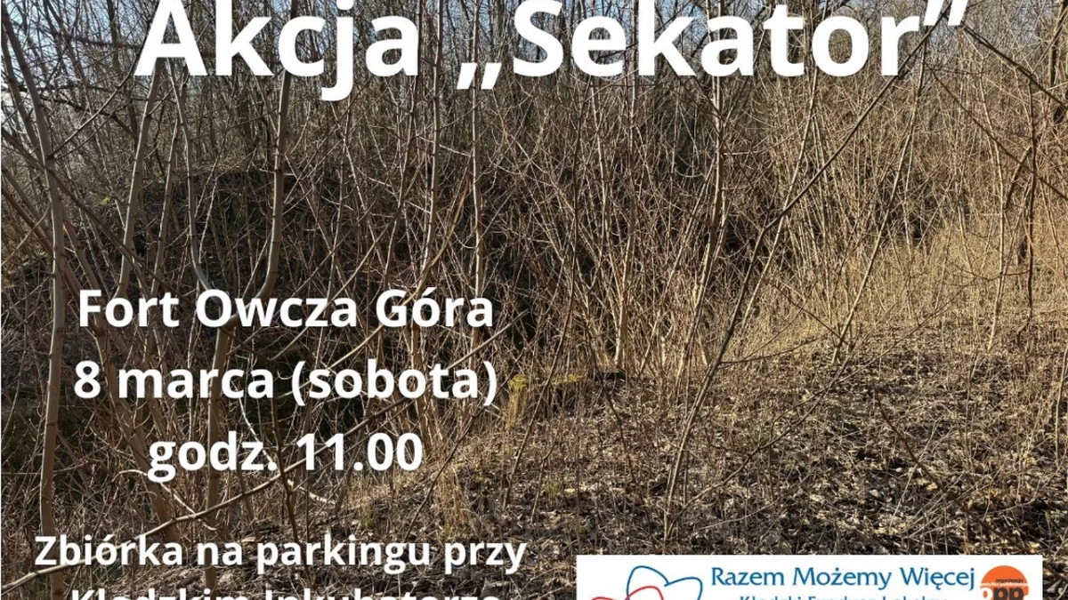 Kłodzko. Akcja "Sekator" na Forcie Owcza Góra - Zdjęcie główne