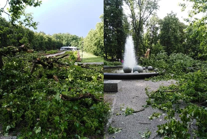 Park Zdrojowy w Polanicy–Zdroju zniszczony przez nawałnicę. Burmistrz apeluje do mieszkańców - Zdjęcie główne