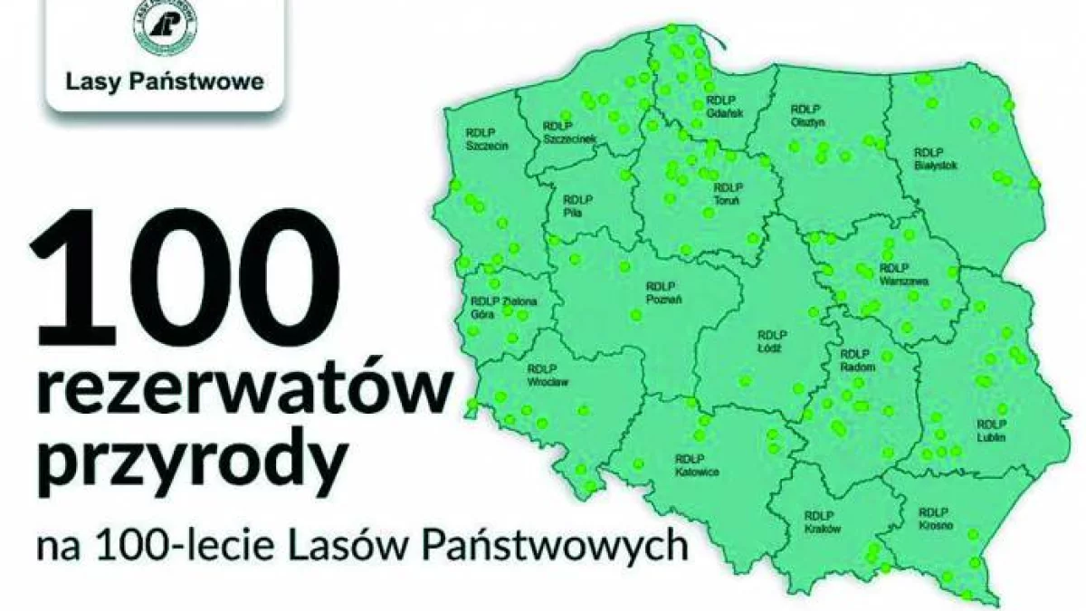 Mały Śnieżnik i Krowiarki - po wielu latach posuchy, powstaną w naszym powiecie dwa rezerwaty przyrody - Zdjęcie główne