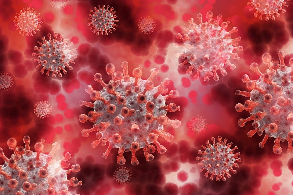 Koronawirus Kłodzko i powiat kłodzki. Zakażonych jest coraz mniej - Zdjęcie główne