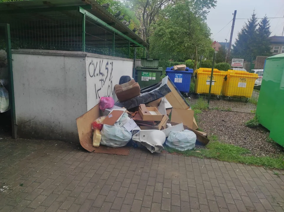 Kłodzko. Śmieci porzucone na Okrzei - Zdjęcie główne