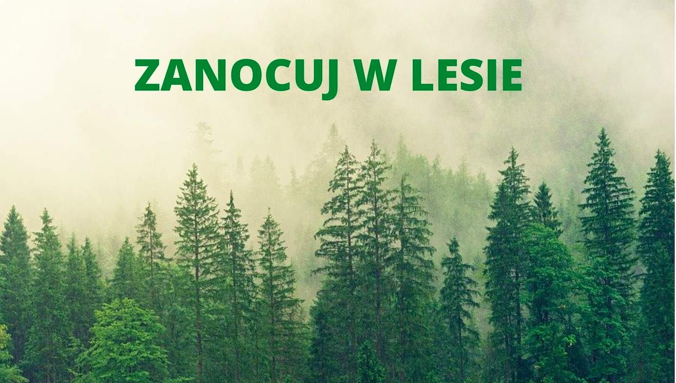 Powiat Kłodzki. Zanocuj w leśnej głuszy - Zdjęcie główne