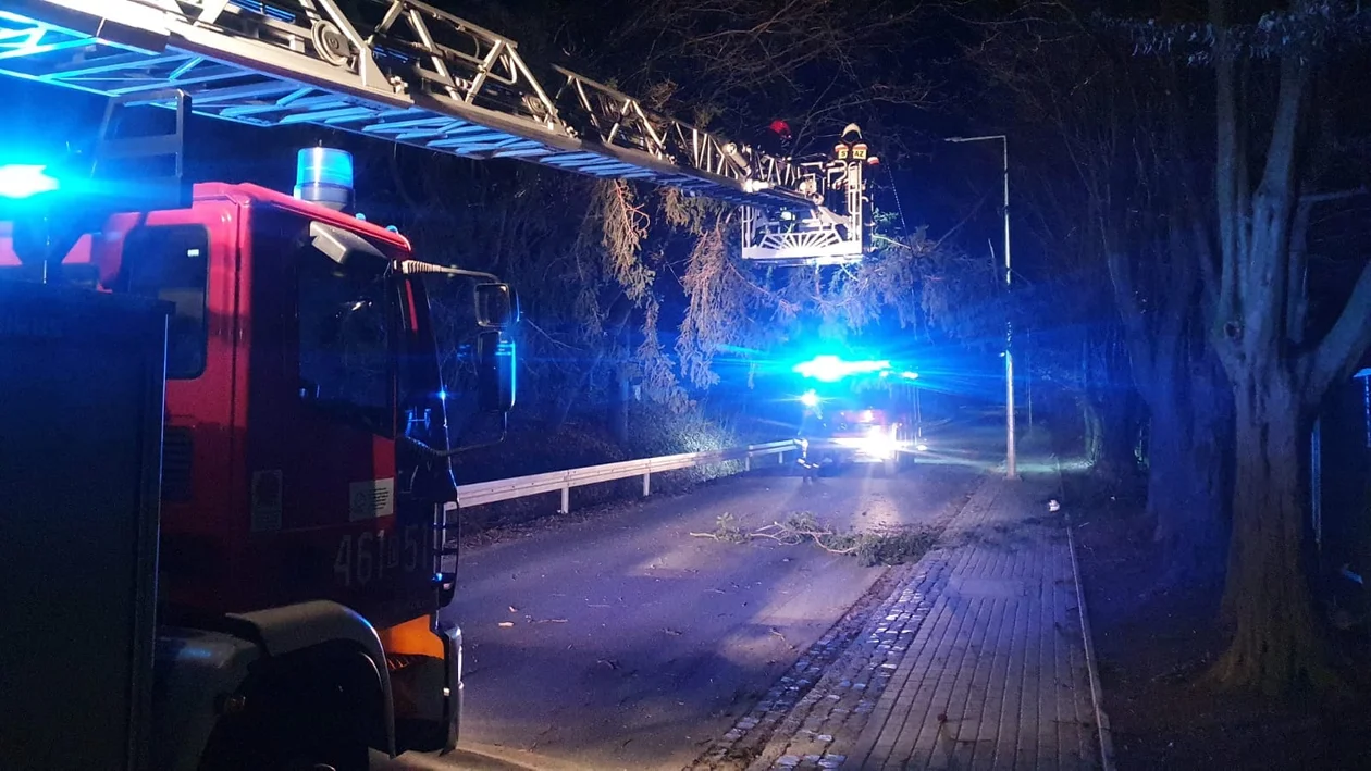 O godzinie 00.23 strażacy pojechali na ul. Korczaka, gdzie nad jezdnią zwisał konar drzewa.  