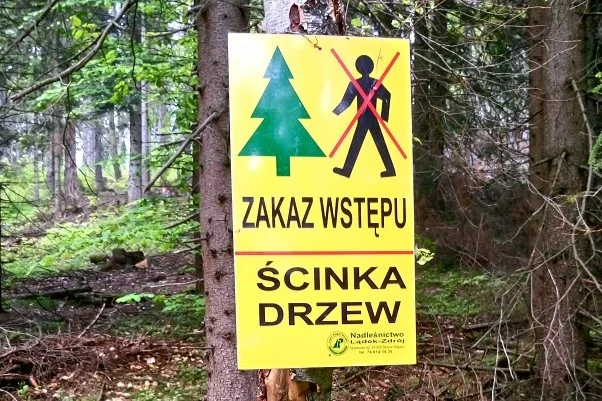 Gmina Lądek-Zdrój. Utrudnienia na szlaku na Kowadło - Zdjęcie główne