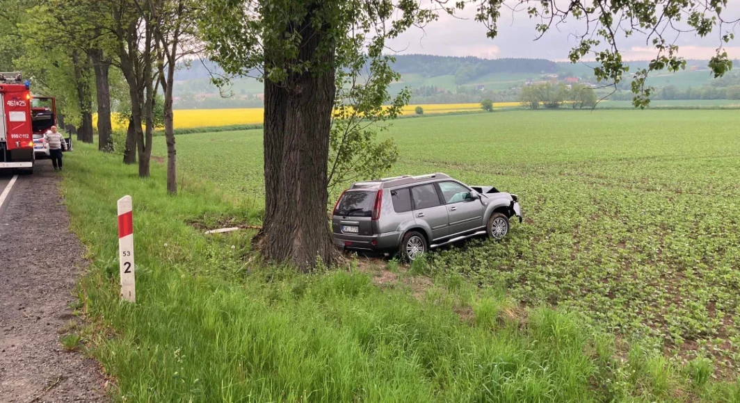 Na drodze między Gołogłowami, a Kłodzkiem zderzyły się dwa samochody osobowe [ZDJĘCIA] - Zdjęcie główne