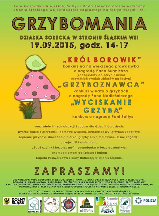 Grzybomania w Stroniu - Zdjęcie główne