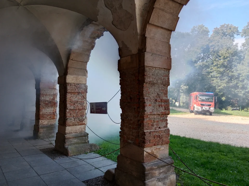 Zamek w Międzylesiu pełen strażaków - Zdjęcie główne