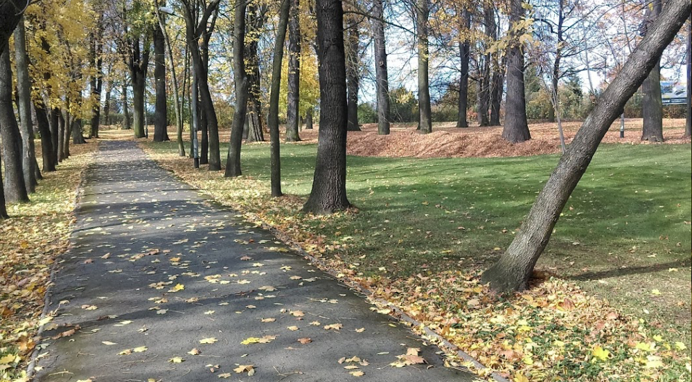 Kłodzko. Za miliony zmienią park św. Wojciecha - Zdjęcie główne