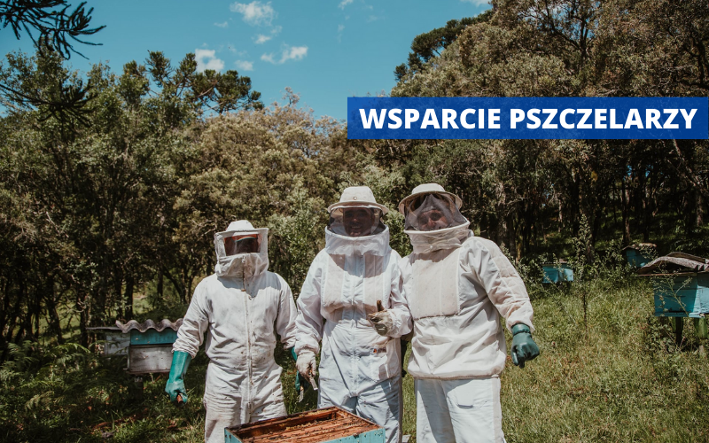 Powiat Kłodzki: Jak uzyskać pomoc finansową dla pszczelarzy?  - Zdjęcie główne