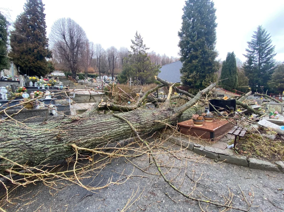 Rodziny, których bliskich nagrobki zostały zniszczone zostaną powiadomione. 