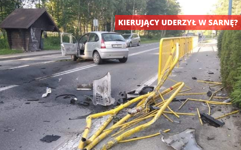 Stronie Śląskie: Kierowca wjechał w przydrożne barierki  - Zdjęcie główne