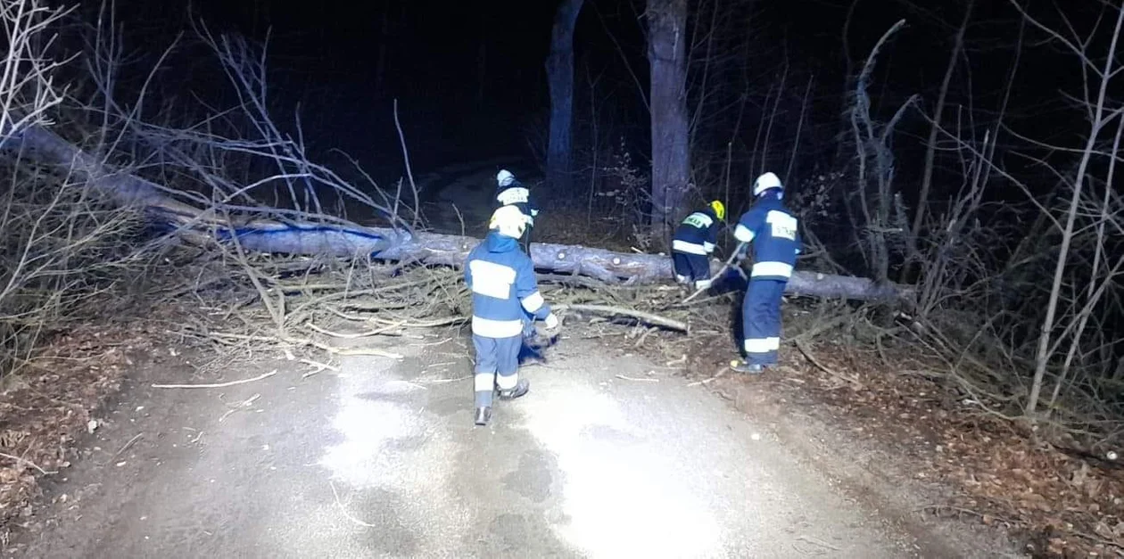  Około godziny 23.30 strażacy interweniowali w Koszynie. Na drogę spadło tu drzewo. 