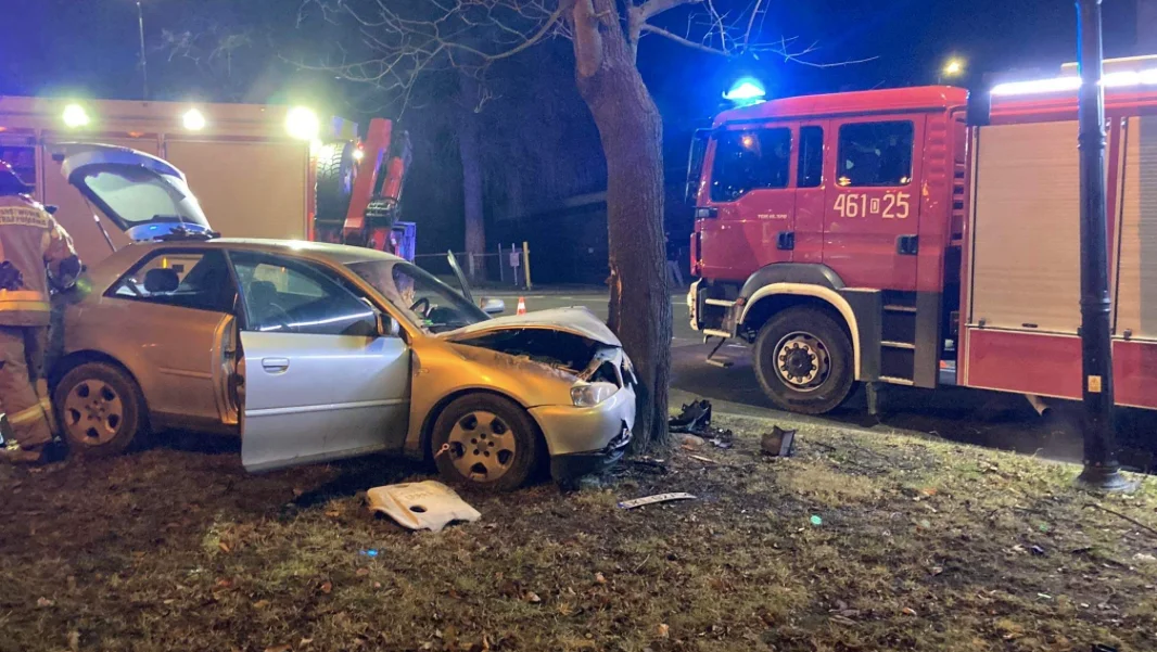 Kierujący audi uderzył w drzewo - Zdjęcie główne