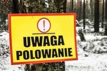 Gmina Nowa Ruda. Będą polować. Kiedy? - Zdjęcie główne